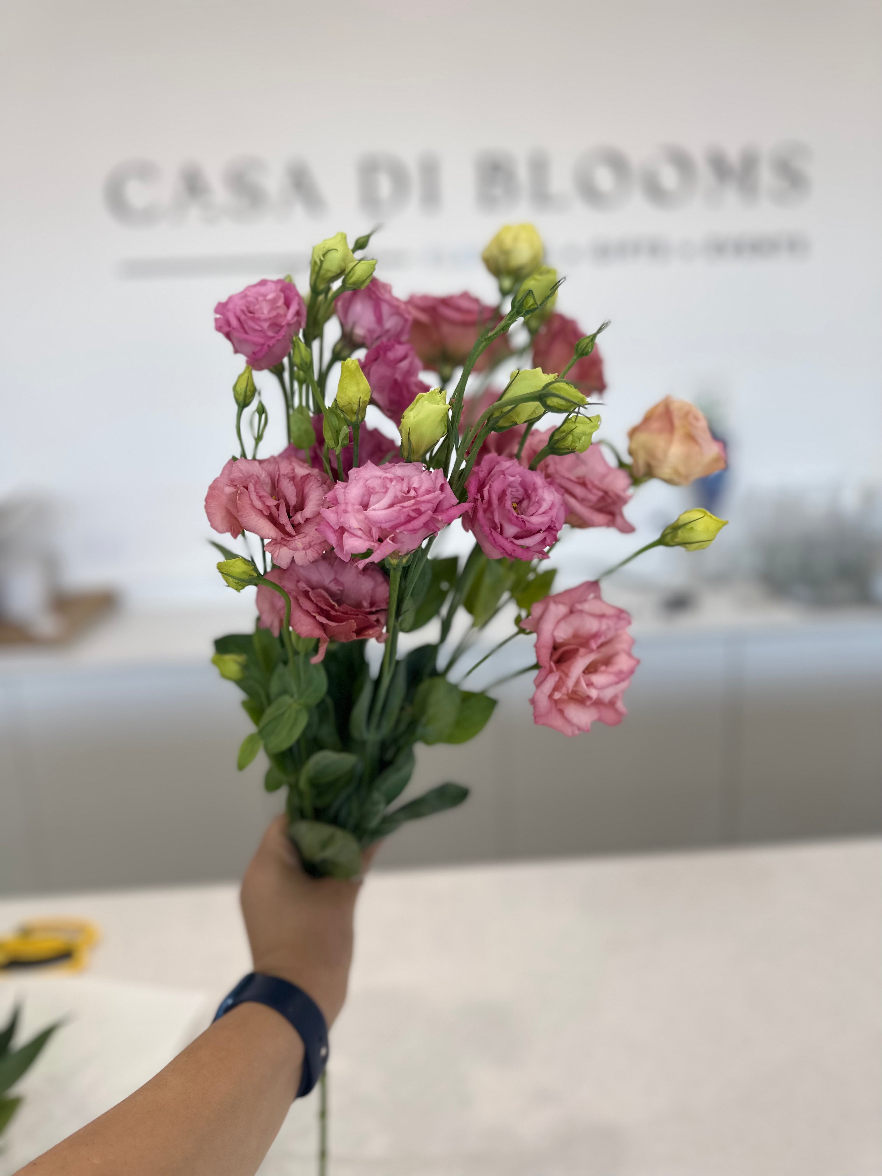 Lisianthus