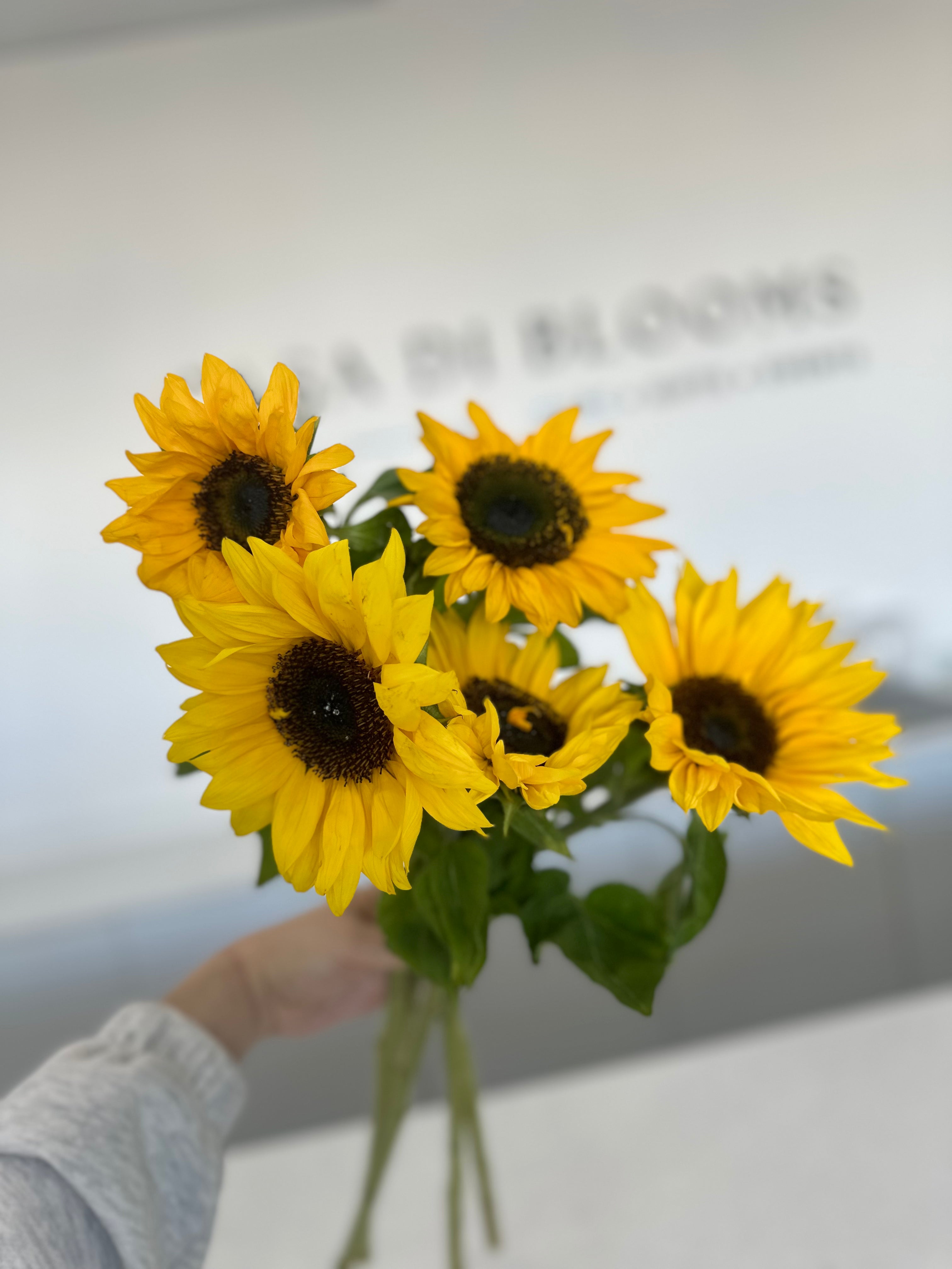 Sunflowers